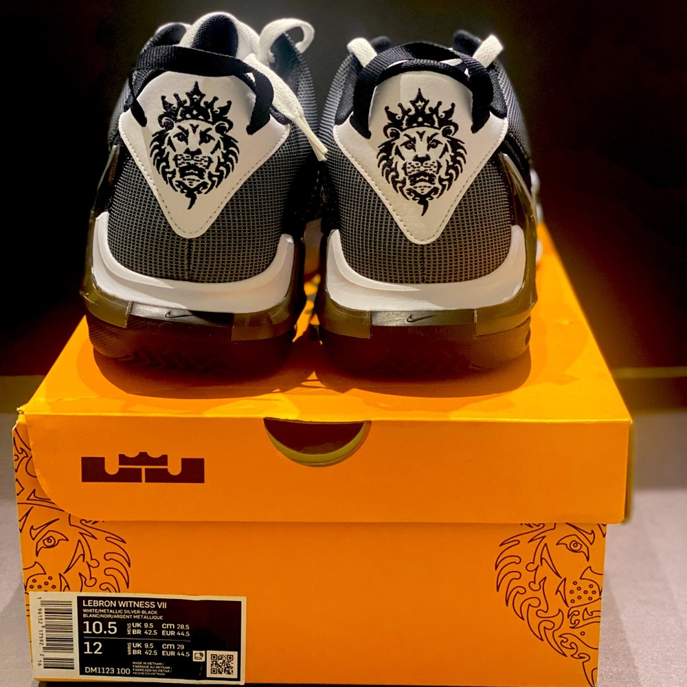 Nike Lebron Witness VII
